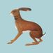 Lookaftering Vashti Bunyan - Lookaftering - Expanded Edition (2 LP)