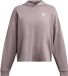 Under Armour Dames Ua Rival Terry Os Hoodie Tetra Gray 015-L