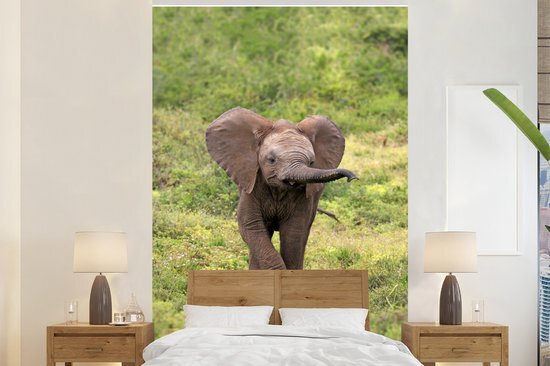 Nr1Wallpaper Behang - Fotobehang Afrikaanse baby olifant in het gras - Breedte 155 cm x hoogte 240 cm