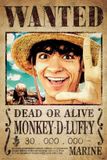 Grupo Your Decoration B.V. One Piece - Poster - Piraten - manga - Anime - 61 x 91,5 cm