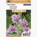 Sluis garden - Grote centaurie bloemenzaad - 0.5 ml