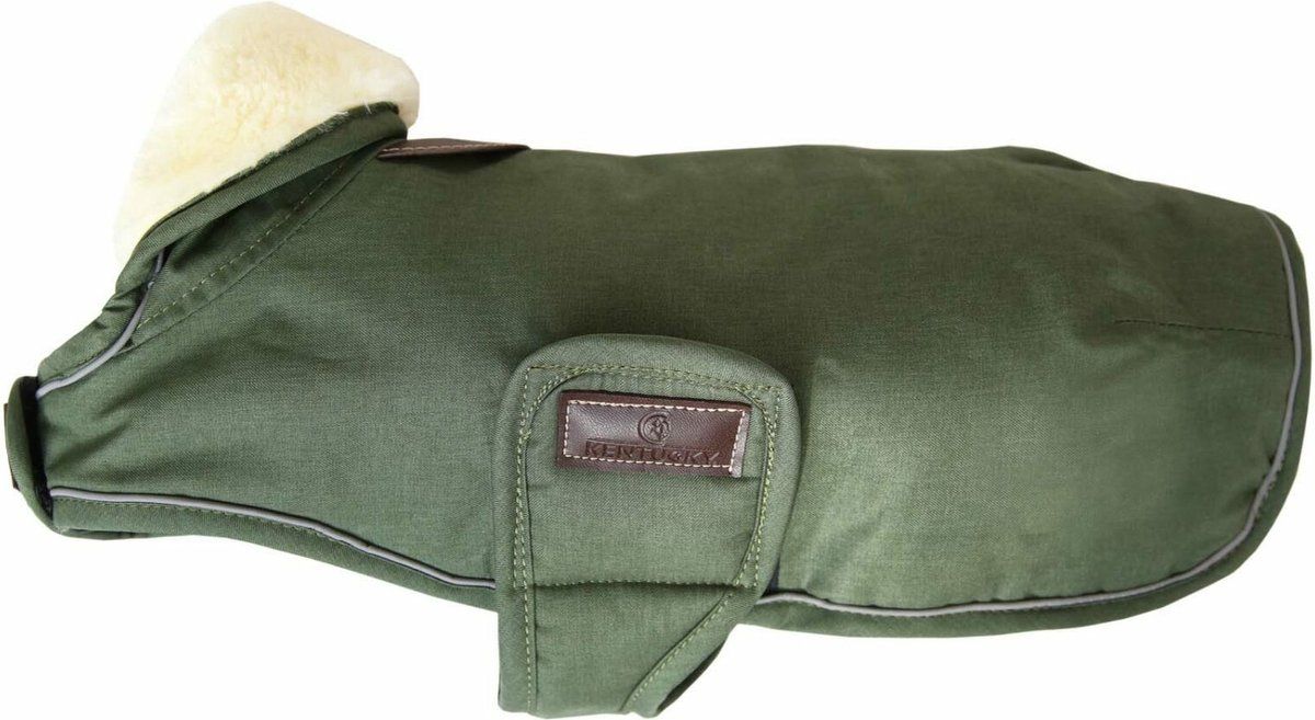 Kentucky Dogwear Hondenjas Waterdicht 300g - Groen - XXS (29 x 23cm)