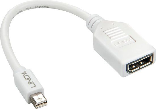 LINDY 41021 DisplayPort / Mini-displayport Adapterkabel Wit 15.00 cm