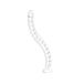 InLine 59997C Kabelgoot flexibel, verticaal voor tafels, 2 compartimenten, 0,80m, wit