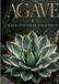 Agave - Paperback - Marie Von Ebner-Eschenbach - 100 pagina's