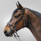 WALDHAUSEN STAR HOOFDSTEL DIAMOND Bruin