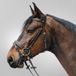WALDHAUSEN STAR HOOFDSTEL DIAMOND Bruin