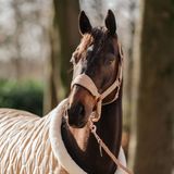 HORKA Zacht fluwelen hoofdstel en longe voor paarden