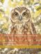 Bird Cross Stitch Pattern Collection: Alor Boobook