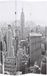 vidaXL Kamerscherm New York bij daglicht 120x170 cm zwart en wit