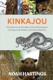 KINKAJOU: The Nocturnal Acrobat of the Neotropical Canopy and Keeper of Forest Balance