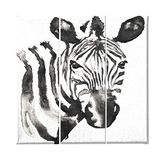 Homemania Wandfoto, zebra, 3-delig, dieren, woonkamer, slaapkamer, meerkleurig, 69 x 3 x 50 cm, HM203PKNV-147, polyester, hout