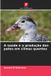 A Edicoes Nosso Conhecimento A saúde e a produção dos patos em climas quentes Paperback