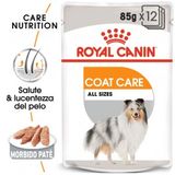 Royal Canin Coat Care natvoer 12 zakjes - Hondenvoer