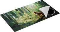 Chefcare Inductie Beschermer Retriever Hond in het Bos met Zon - 95x55 cm - Inductie Mat