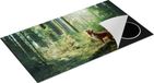 Chefcare Inductie Beschermer Retriever Hond in het Bos met Zon - 95x55 cm - Inductie Mat