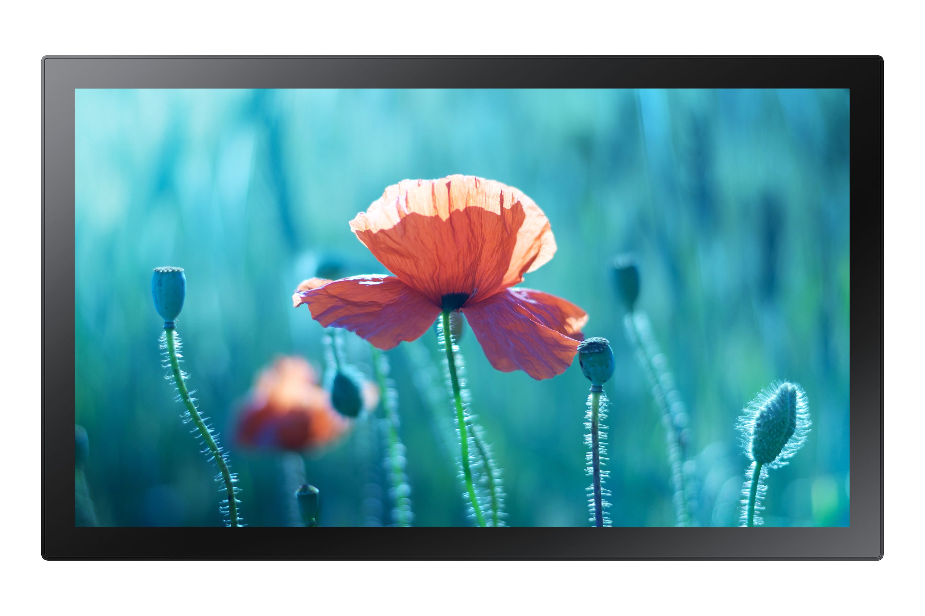 Samsung 13" Touch Display QBR-TM - Full HD - LED