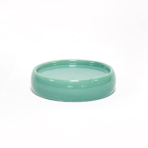 Douceur d'Intérieur ZEEP Houder - Lime - 10 x 3,5 CM
