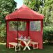 Prolenta Maison Exclusive Opvouwbare Partytent met Pop-up Systeem en 2 Zijpanelen, Bordeauxrood