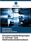 OmniScriptum SRL Zerspanungsbedingungen in Cermat- und Wolframkarbideinsätzen