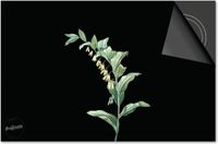 Dietrix Inductie beschermer 65x52 - Botanical - Plantje kelkjes op zwart