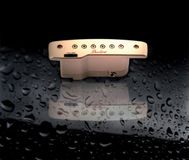 Shadow SH 145 BK Prestige Soundhole Pickup goud - Pickup voor akoestische gitaar
