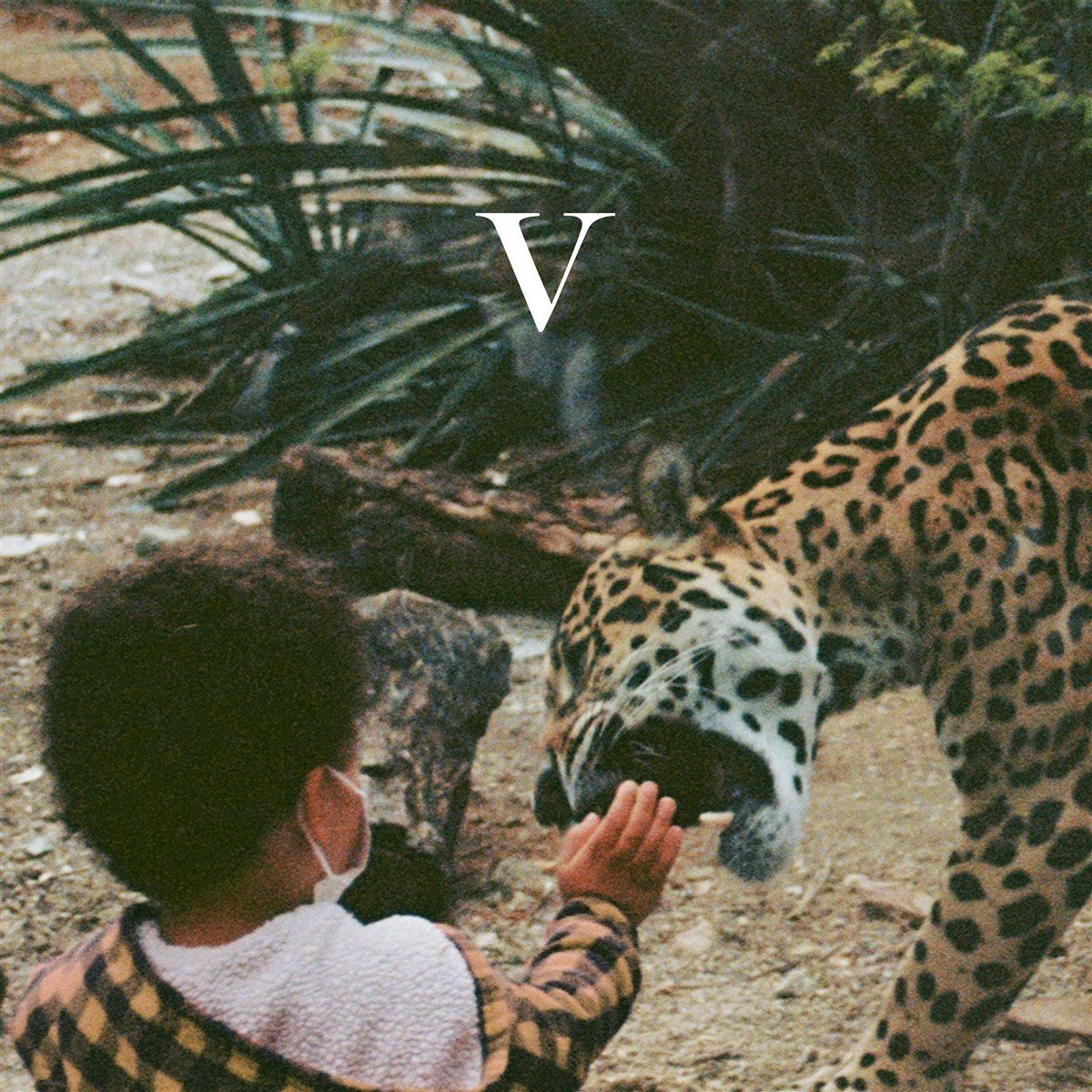 Konkurrent Unknown Mortal Orchestra - V (CD)