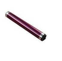 Toshiba OD-FC34M - Printer drum - magenta - eSTUDIO 287cs/347cs/407cs - paars
