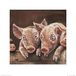 De kunstgroep Louise Brown (Oink) kunstdruk, papier, meerkleurig, 40 x 40 x 1,3 cm