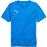 Puma Kindertrui teamGoal Graphic