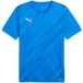 Puma Kindertrui teamGoal Graphic