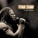 PIAS Nederland Ryan Shaw - It Gets Better (CD)