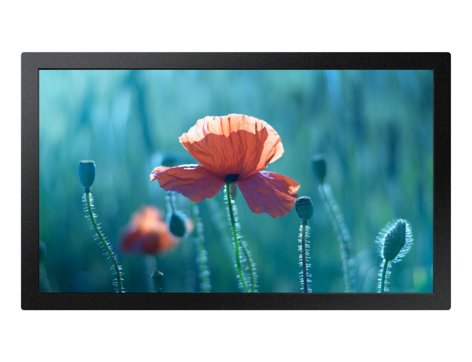 Samsung QB13R - 13 inch - Full HD Digital Signage Display - Black