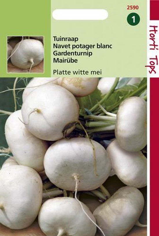 Hortitops Zaden - Rapen Platte Witte Mei