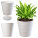 KADAX Bloempot met onderzetter, lichte ronde plantenbak voor binnen van kunststof, voor bloemen en planten (21 cm, crèmekleurig)