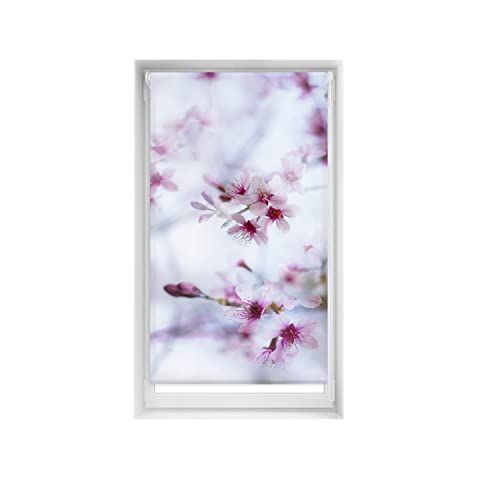 Blindecor Rolgordijn Zen Blackout Easyfix - 80 x 150 cm