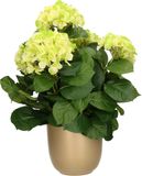 Mica Decorations Hortensia Kunstplant/Kunstbloemen 45 cm - Groen - In Pot Goud