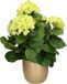 Mica Decorations Hortensia Kunstplant/Kunstbloemen 45 cm - Groen - In Pot Goud