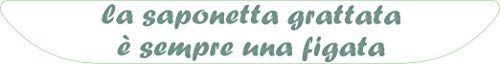 Quattroerre 1847 garde voor motorfiets