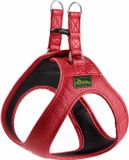 HUNTER Leren Hondentuigje Liefde XXS-XS Rood