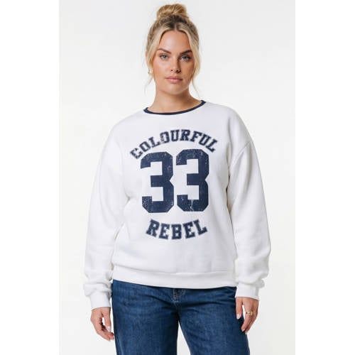 Colourful Rebel Curve sweater wit
