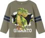 NAME IT - NMMSOF GIGANTO LS NREG TOP VDE Jongens Lange mouwen shirts Groen Katoen 92
