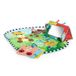 Baby Einstein Discovery Garden Tapis météo face vers le bas et miroir multisensoriel de 0 à 6 mois