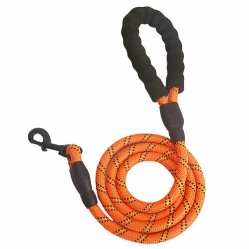 VIXDA Huisdier kat en hond riem reflecterende nylon geweven riem hond anti-spoelriem kraag training outdoor hond wandelen kraag