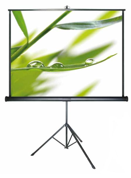 DELUXX Advanced statief projectiescherm 172 x 172 cm mat wit Polaro