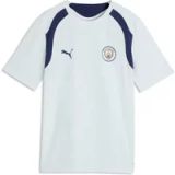 PUMA Manchester City trainingsshirt, Blauw, Maat 7-8Y
