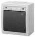 AQUANT boîte d'encastrement 2K, connexion en croix, IP55, gris, 5006-10