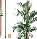 KOTARBAU® 2 st Kokosstok, Plantenstok, ⌀ 3,2 x 150 cm, Kokosstaaf, Klimhulp Monstera, Bruin, Kokosvezel, Klimhulp, Plantenstaaf, Kokosstok voor Monstera, Kokosstaaf voor Klimplanten