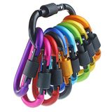 IEBUOBO 10 stuks aluminium D-ring sleutelhangers wandelclips vergrendeling karabijnhaak voor wandelen, kamperen, vissen en buitengebruik, clips met schroefpoort veelkleurig