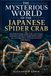 THE MYSTERIOUS WORLD OF THE JAPANESE SPIDER CRAB